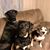 Chrissy Thomas's profile image