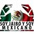 Fernando Ortega Dominguez's profile image