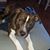 Kimberly Schmidt-Wagner's profile image