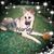 Kimberly Twiggy's profile image