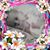 Cheryl James's profile image