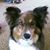 Amy Lydic's profile image