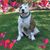 Pam Shelley's profile image