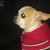 Tony Mejia's profile image