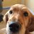 Linda Nolte's profile image