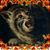 Jessica Jacob's profile image