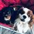 LeAnn Smith's profile image