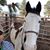 Roscoe Stewart's profile image