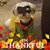 Sherry Gasper-Keller's profile image