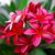 Candy Echols Salih's profile image