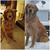 Ann Lowe Wenzl's profile image