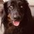 Sheryl Lucey's profile image