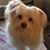 Lisa Martin's profile image