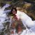 Mia Jin's profile image