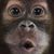 Mikal Mullaly's profile image