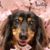 Judy Hones Magin's profile image
