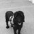 Maureen Doherty Kearnan's profile image