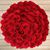 Josephine Gaguz's profile image