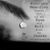 Pamela Doughten Darrell's profile image