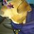 Jean Diemicke's profile image
