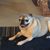Kathy Ware De Antonio's profile image