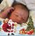 Tarina M Tempesta Harris's profile image