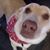 Pam Carney Nolan's profile image