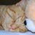 Shirley Hutson Swogger's profile image
