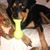 Russell Van Hoesen's profile image