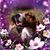 Deb Thompson's profile image