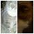 Tiffany Dow's profile image