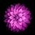 Susan Migas Dolce's profile image
