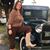 Kimberly Preeschl's profile image