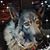Jill Heikkinen's profile image