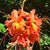 Karyl Coletti Cargill's profile image