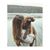 Rae Kathleen's profile image