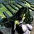 Christina Sears's profile image