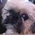 Lynn Zimmerman's profile image