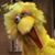 Danny Robison's profile image