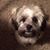 Sandie Herrington's profile image
