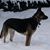 Alese Moore's profile image