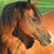 Catherine Lang's profile image