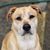 Debbie Schlomann's profile image
