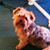 Tom N Kathy Dotoli's profile image