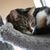 Moggie Berges's profile image