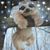 Donna Reinhardt's profile image