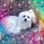 Kim Seeds's profile image