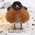 Mary Yon Paulsen's profile image