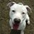 Frannie Bruce's profile image