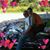 Kristy Scheidel's profile image
